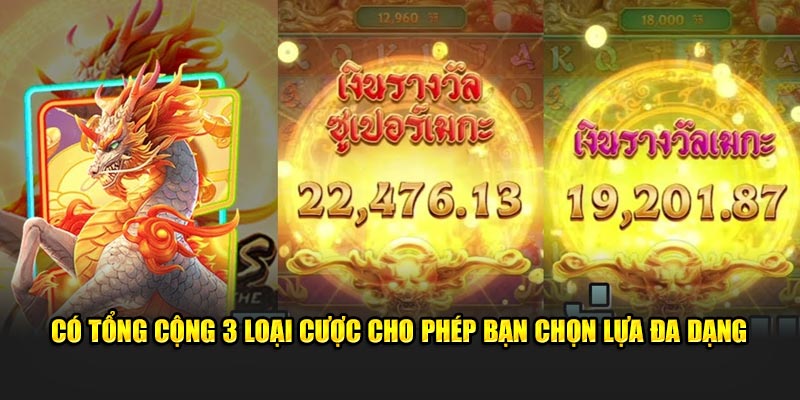 Có tổng cộng 3 loại cược cho phép bạn chọn lựa đa dạng